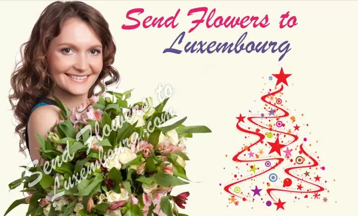 Send Flowers To Luxembourg