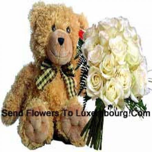 19 Rose Bianche con Orso di Peluche da 14 Pollici