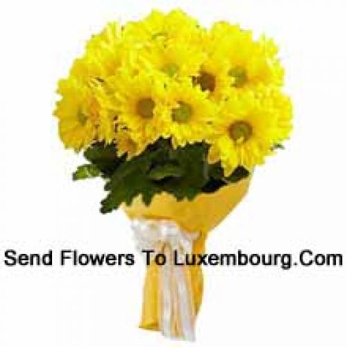 Cool 19 Yellow Gerberas