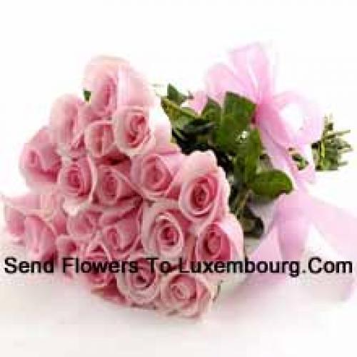 25 Cute Pink Roses