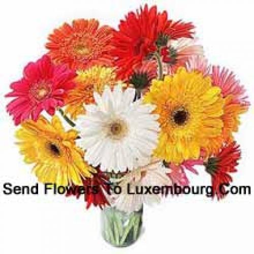 19 Cute Mixed Gerberas