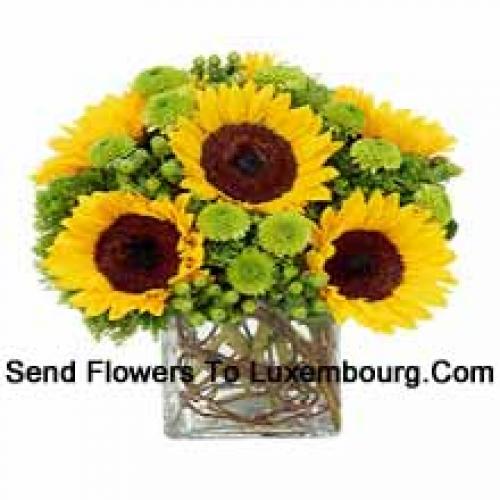 Pretty Sunflowers in Vase