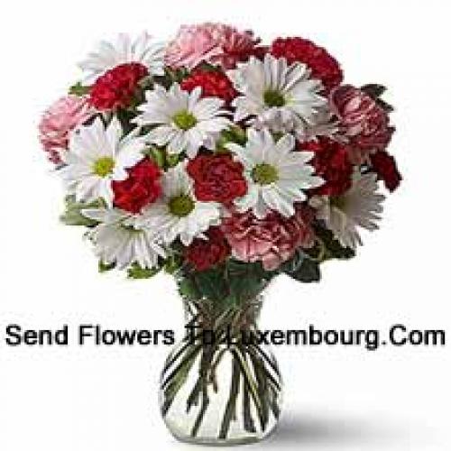 Cute 25 Carnations and Gerberas