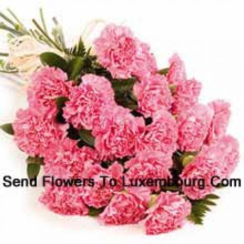 25 Charming Carnations