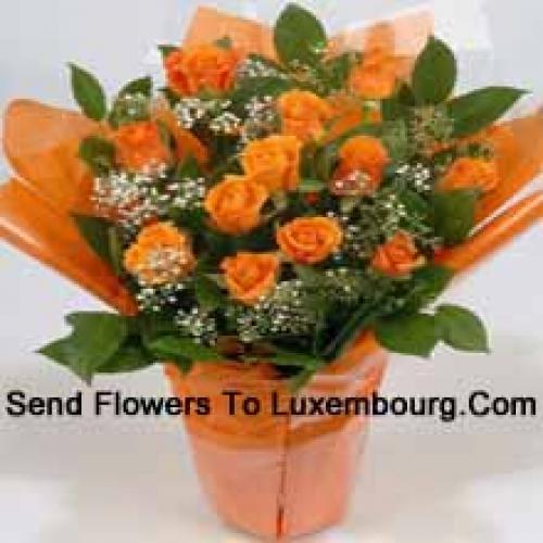 19 Cute Orange Roses