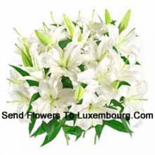 White Lilies with Fillers