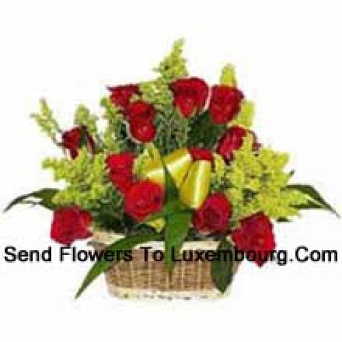 19 Cute Red Roses