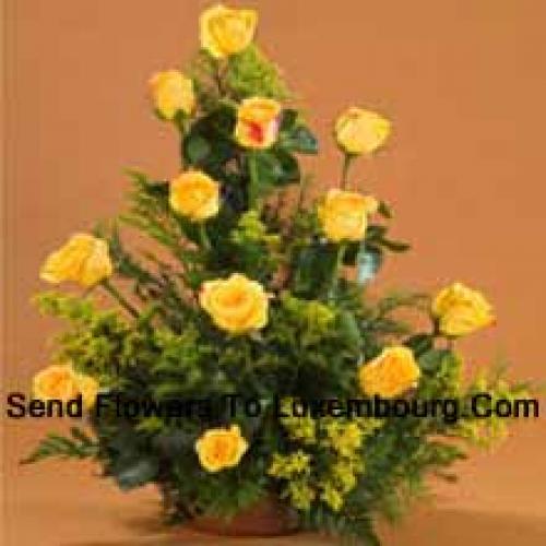 11 Charming Yellow Roses