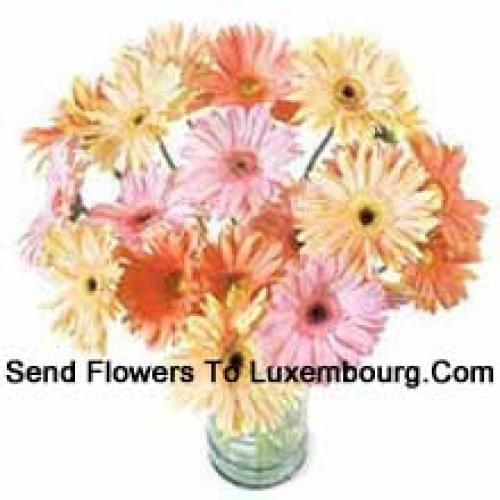 25 Fancy Assorted Gerberas