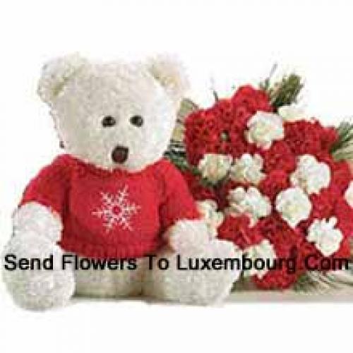 Roses and Carnations with Cuddly Teddy