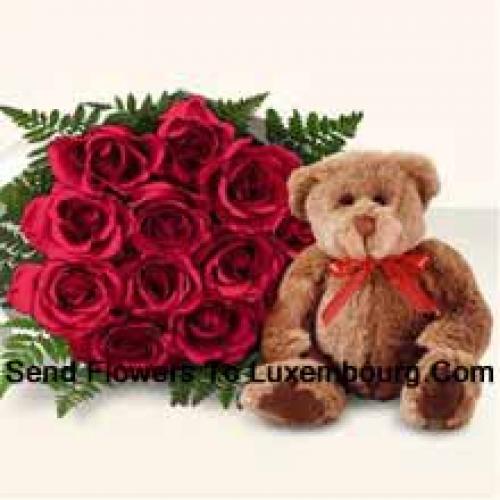 11 Red Roses with Cute Brown Teddy